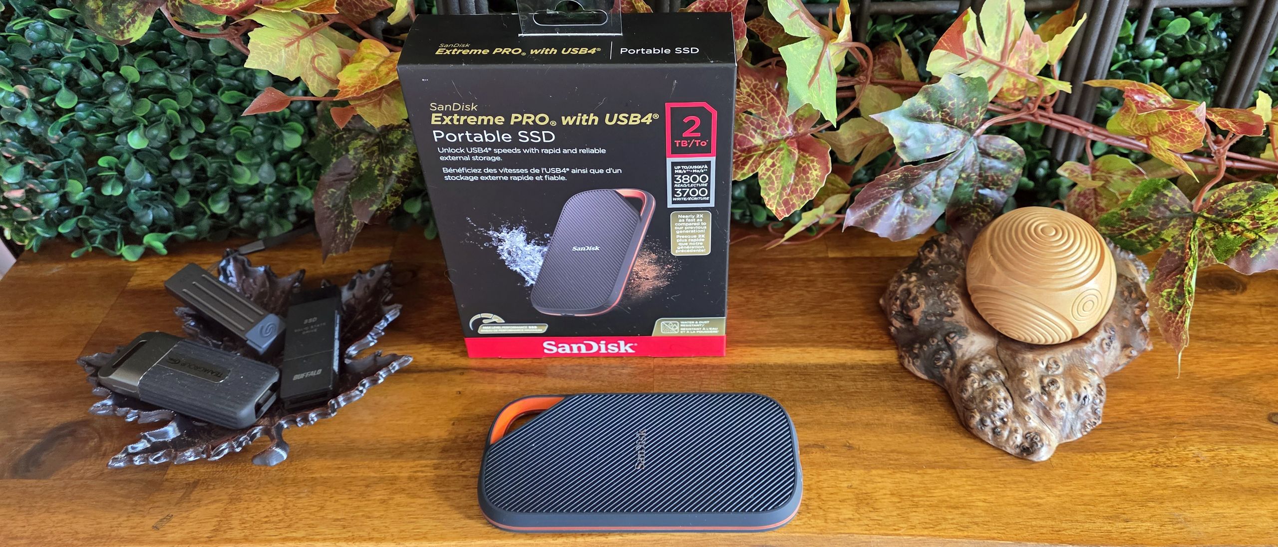 SanDisk Extreme Pro With USB4 (2TB) review: Bursty speed, but not great for pros