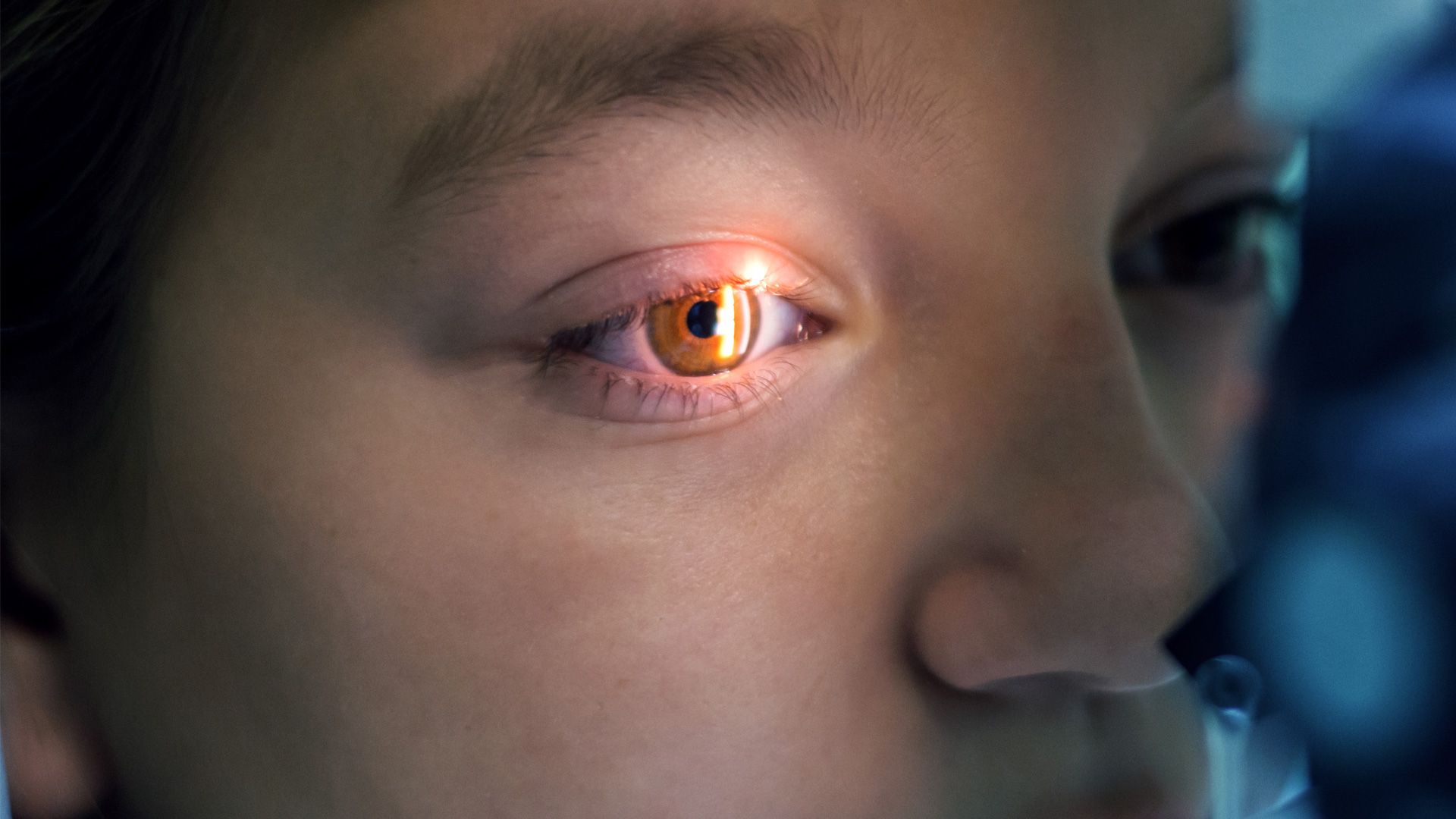 Scientists claim you can't see the difference between 1440p and 8K at 10 feet in new study on the limits of the human eye — would still be an improvement on the