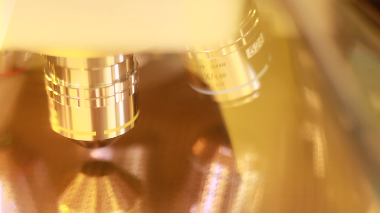 Huawei's latest mobile is armed with China's most advanced process node to date despite using blacklisted chipmaker — Huawei Kirin 9030 mobile SoC made on SMIC Huawei's latest mobile is armed with China's most advanced process node to date despite using blacklisted chipmaker — Huawei Kirin 9030 mobile SoC made on SMIC