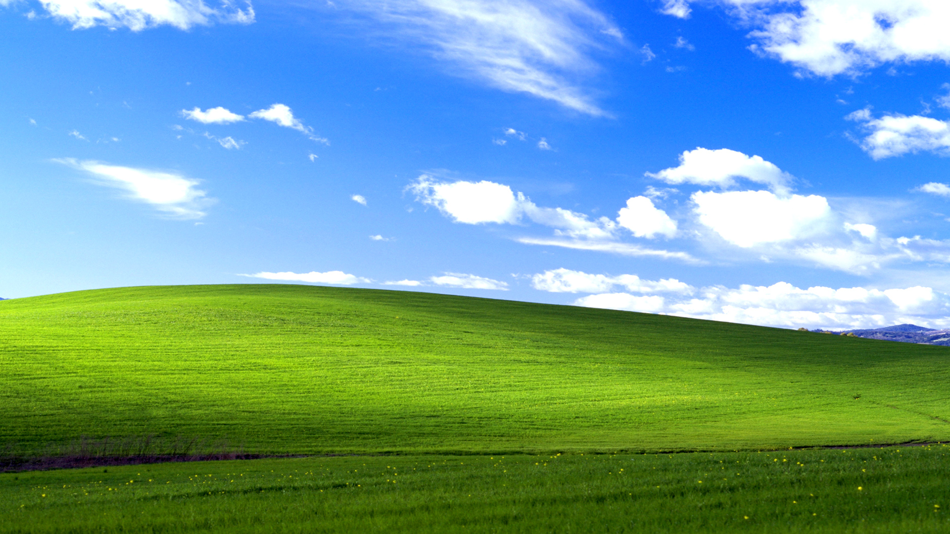 30 years later, the iconic 'Bliss' green hill from Windows XP is still thriving — lucky passerby captures the hill looking almost identical to the 1996 photogra 30 years later, the iconic 'Bliss' green hill from Windows XP is still thriving — lucky passerby captures the hill looking almost identical to the 1996 photogra