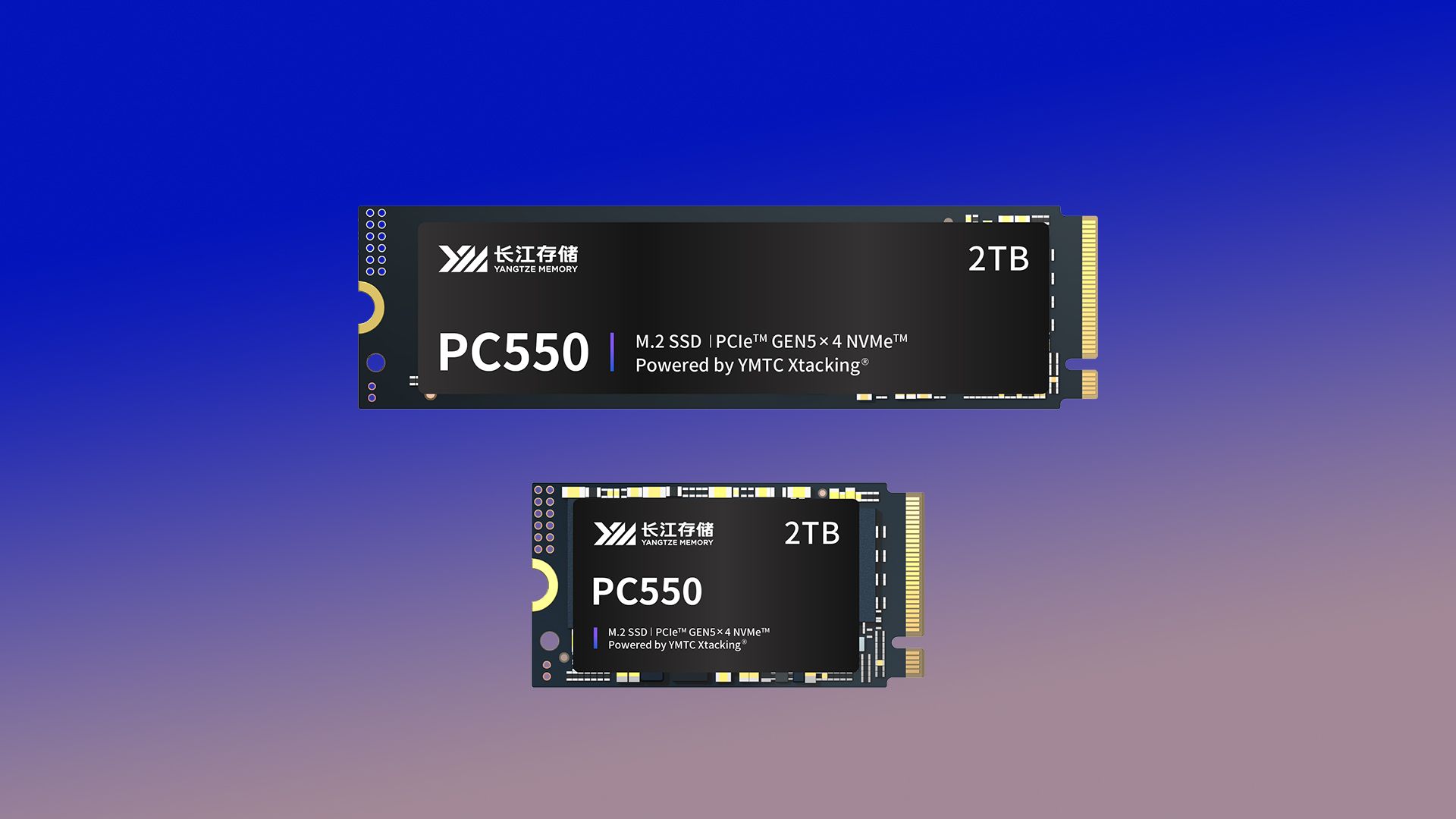 Chinese SSD maker YMTC lists its first commercial PCIe 5.0 SSD as worldwide shortage intensifies — Xtacking 4.0 NAND powers speeds of up to 10,500 MB/s