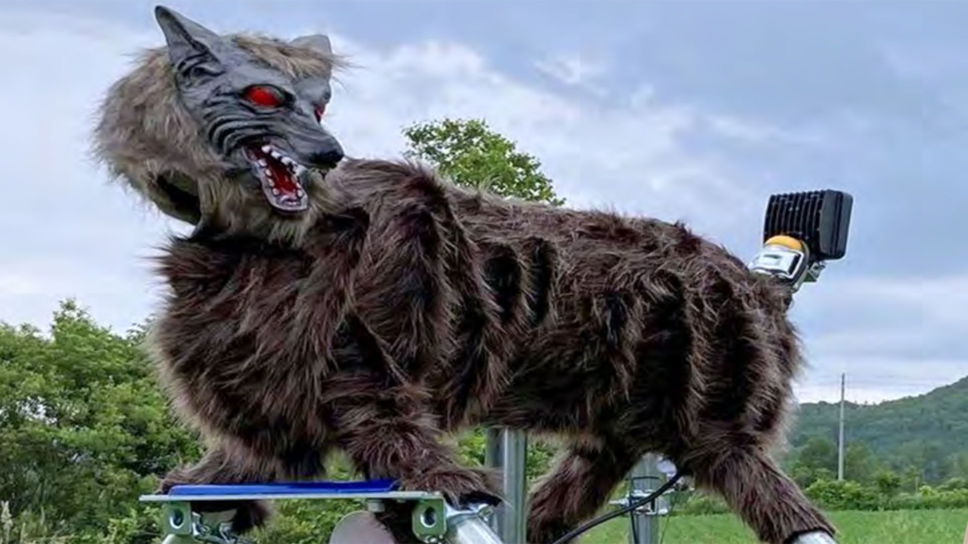 Japan can’t make robot wolves fast enough to counter the rise in bear attacks that have killed 13 humans this year — $4,000+ animatronic Monster Wolf features i