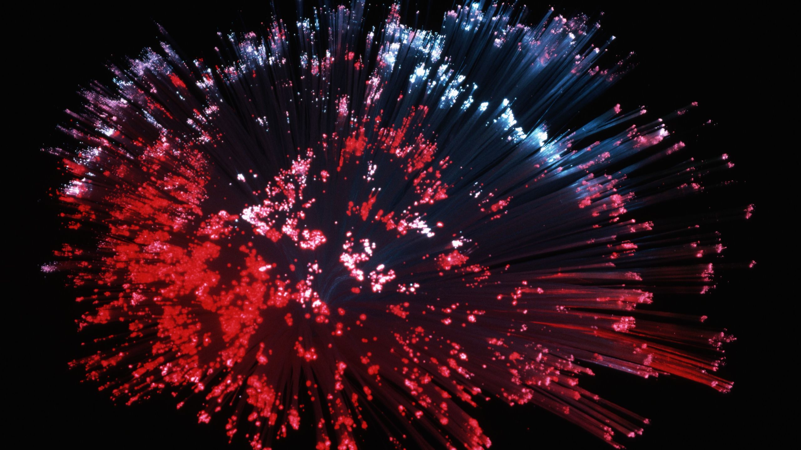 Negative time experiment clears peer review as photons appear to leave an atom cloud before entering — groundbreaking quantum 'negative time' proven after 1 mil Negative time experiment clears peer review as photons appear to leave an atom cloud before entering — groundbreaking quantum 'negative time' proven after 1 mil