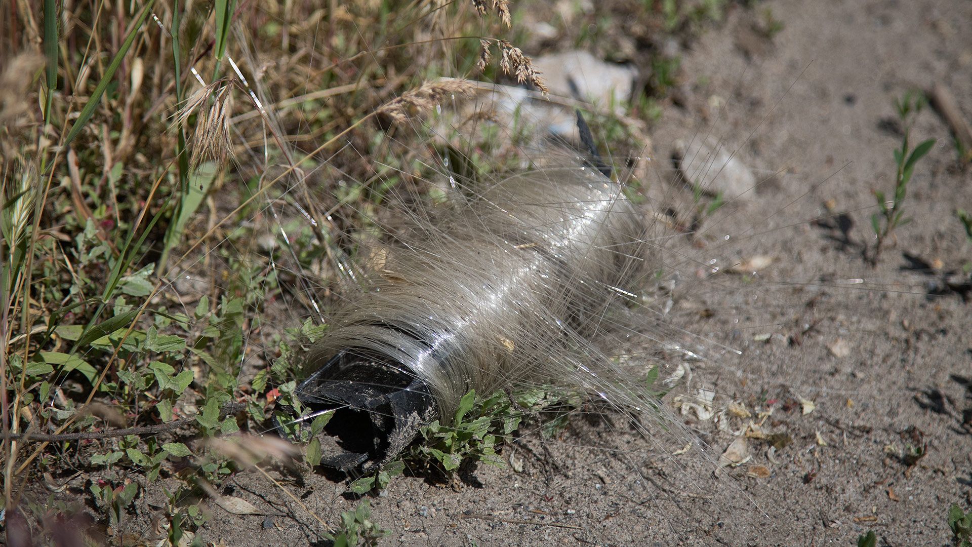 Ukraine’s birds adapt to battlefield environment, weaving nests out of drone fiber-optic cables — resourceful wildlife adapts to miles of littered drone fibers Ukraine’s birds adapt to battlefield environment, weaving nests out of drone fiber-optic cables — resourceful wildlife adapts to miles of littered drone fibers