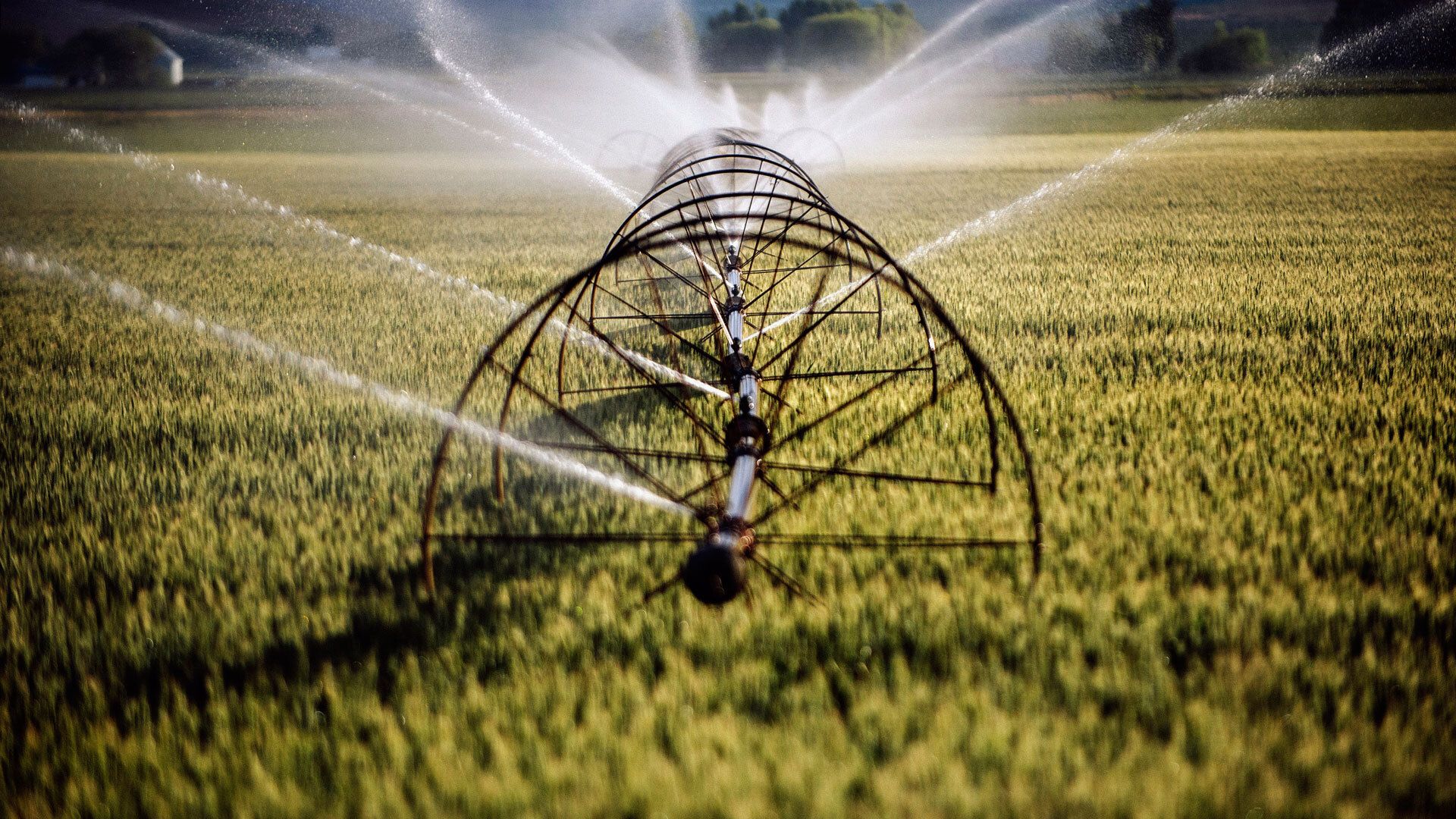 Amazon says its data centers consume only 0.075% of the water Americans use for watering their lawns and gardens — company also boasts of its improvements in wa